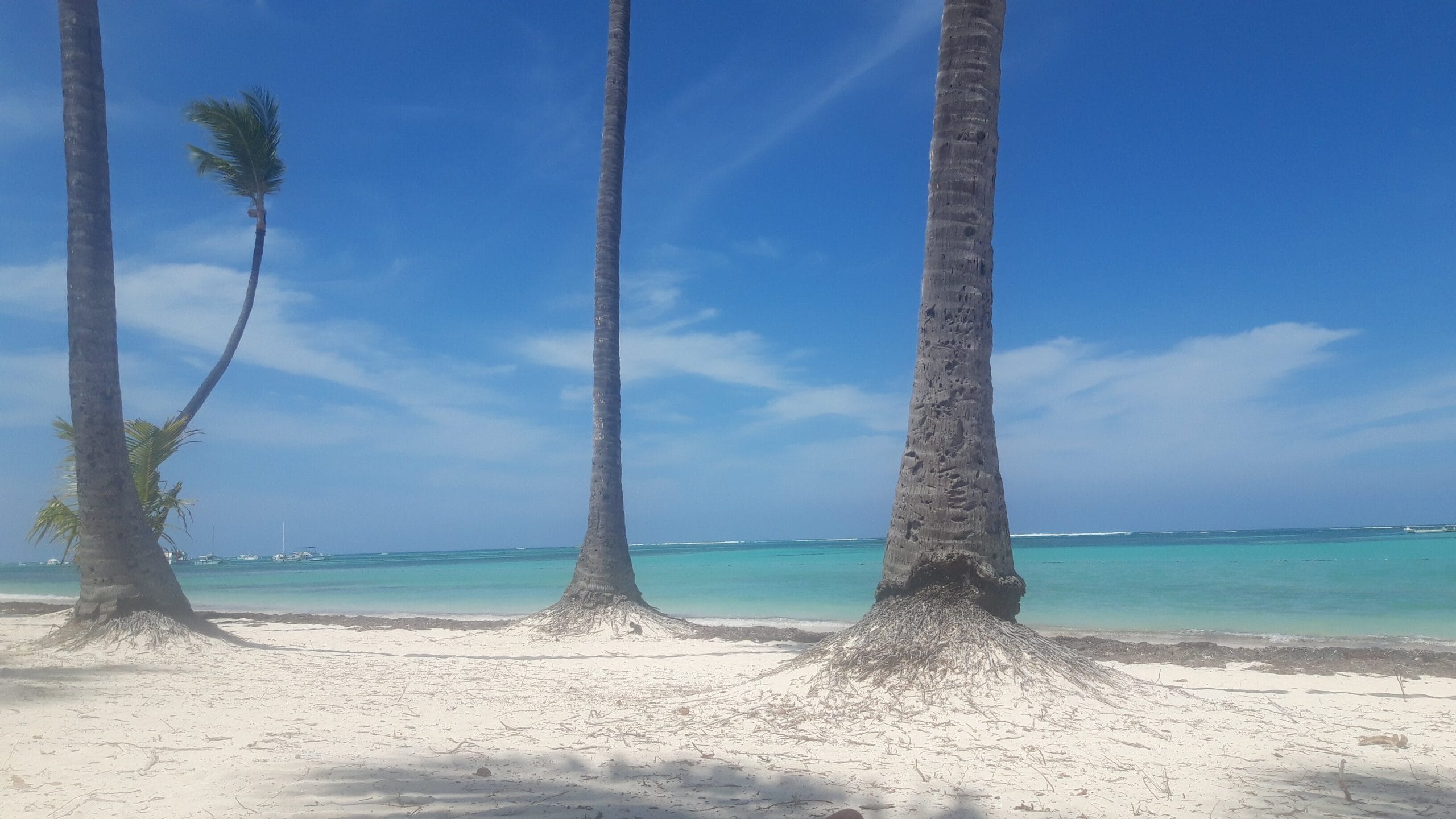Arena Blanca, playa de arena blanca en Punta Cana