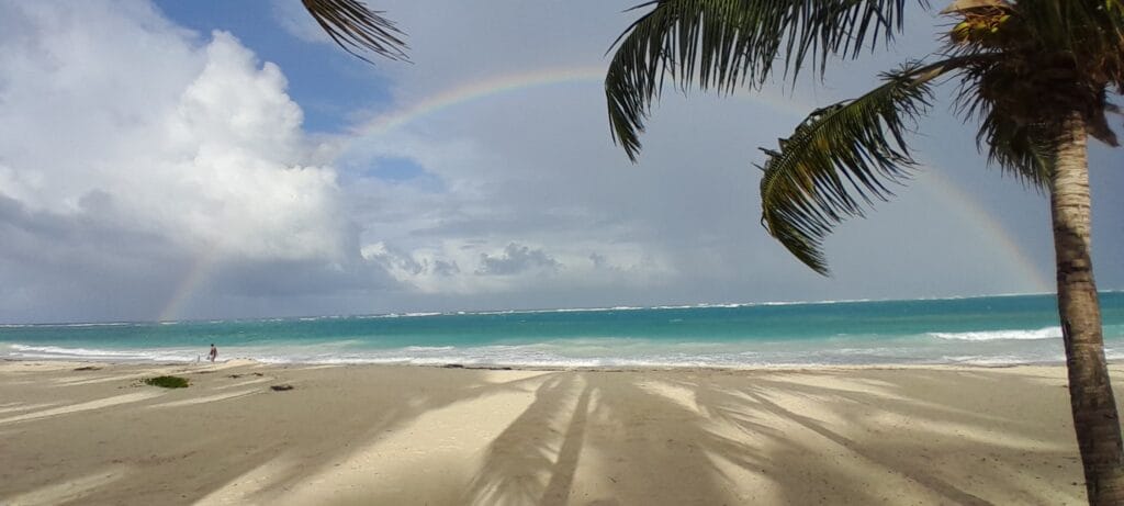 Hôtels dans la zone de Bávaro à Punta Cana